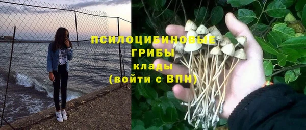Альфа ПВП Ладушкин