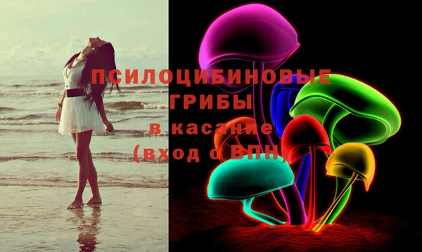Альфа ПВП Ладушкин