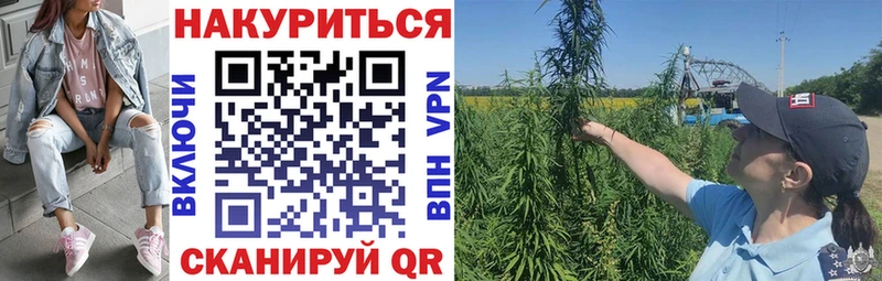 Купить закладки  Шатура  Бошки Шишки Bruce Banner 